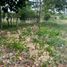  Land for sale in Centro, Tabasco, Centro, Tabasco