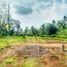  Land for sale in Malang Regency, East Jawa, Kepanjen, Malang Regency