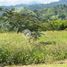  Land for sale in Caldas, Manizales, Caldas