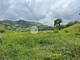  Land for sale in Caldas, Manizales, Caldas