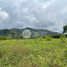  Land for sale in Caldas, Manizales, Caldas