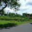  Land for sale in Yogyakarta, Godeyan, Sleman, Yogyakarta