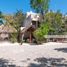 Maison 3 chambre à vendre à Cozumel, Quintana Roo, Cozumel