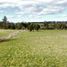  Terreno (Parcela) en venta en Los Lagos, Valdivia, Los Lagos