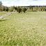  Terreno (Parcela) en venta en Los Lagos, Valdivia, Los Lagos