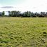  Terreno (Parcela) en venta en Los Lagos, Valdivia, Los Lagos