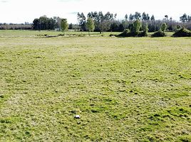  Terreno (Parcela) en venta en Los Lagos, Valdivia, Los Lagos