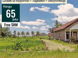  Land for sale in Banyuwangi, East Jawa, Gambiran, Banyuwangi