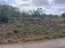  Terreno (Parcela) en venta en Merida, Yucatán, Merida