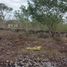  Terreno (Parcela) en venta en Merida, Yucatán, Merida