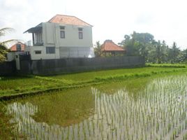  Grundstück zu verkaufen in Gianyar, Bali, Ubud