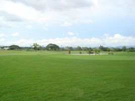  Grundstück zu verkaufen in Anton, Cocle, Rio Hato