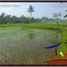  Land for sale in Ubud, Gianyar, Ubud