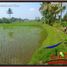  Land for sale in Ubud, Gianyar, Ubud