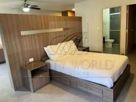 1 Schlafzimmer Wohnung zu vermieten in Monterrey, Nuevo Leon, Monterrey