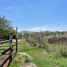  Land for sale in Tlaquepaque, Jalisco, Tlaquepaque