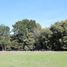  Land for sale in Araucania, Nueva Imperial, Cautin, Araucania