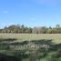  Land for sale in Araucania, Nueva Imperial, Cautin, Araucania