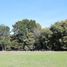  Land for sale in Araucania, Nueva Imperial, Cautin, Araucania