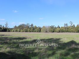  Land for sale in Araucania, Nueva Imperial, Cautin, Araucania