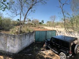  Grundstück zu verkaufen in Conkal, Yucatan, Conkal