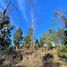  Land for sale in Chile, Quintero, Valparaiso, Valparaiso, Chile