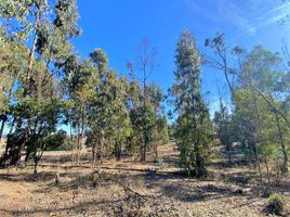  Land for sale in Chile, Quintero, Valparaiso, Valparaiso, Chile