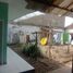 5 Schlafzimmer Haus zu verkaufen in Padalarang, West Jawa, Padalarang