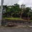  Terreno (Parcela) en venta en Depok, Yogyakarta, Depok