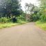  Land for sale in Cariu, Bogor, Cariu