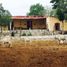  Land for sale in Hoctun, Yucatan, Hoctun
