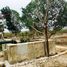  Land for sale in Hoctun, Yucatan, Hoctun