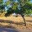  Terreno (Parcela) en venta en Melipilla, Santiago, Melipilla, Melipilla