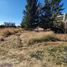  Land for sale in Salamanca, Guanajuato, Salamanca