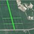  Terreno (Parcela) en venta en Cozumel, Quintana Roo, Cozumel