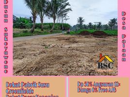  Land for sale in Ngajum, Malang Regency, Ngajum