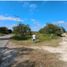  Land for sale in Champoton, Campeche, Champoton