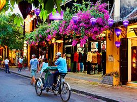 83 Schlafzimmer Villa zu verkaufen in Hoi An, Quang Nam, Cam Chau