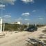  Grundstück zu verkaufen in Chicxulub Pueblo, Yucatan, Chicxulub Pueblo