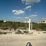  Grundstück zu verkaufen in Chicxulub Pueblo, Yucatan, Chicxulub Pueblo