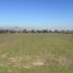  Land for sale in Chacabuco, Santiago, Colina, Chacabuco