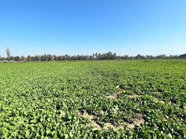  Land for sale in Chacabuco, Santiago, Colina, Chacabuco