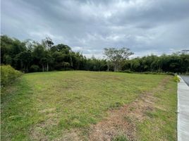  Land for sale in Pereira, Risaralda, Pereira