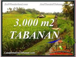  Tanah for sale in Selemadeg, Tabanan, Selemadeg