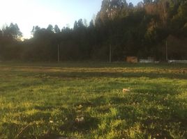  Terreno (Parcela) en venta en Los Ríos, Mariquina, Valdivia, Los Ríos