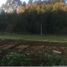  Terreno (Parcela) en venta en Los Ríos, Mariquina, Valdivia, Los Ríos