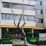 360 m2 Office for rent in Miguel Hidalgo, Mexico City, Miguel Hidalgo