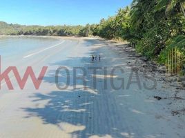  Grundstück zu verkaufen in San Vicente, Mimaropa, San Vicente