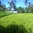  Terrain for sale in Tegallalang, Gianyar, Tegallalang