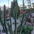 3 Schlafzimmer Villa zu verkaufen in Tijuana, Baja California, Tijuana